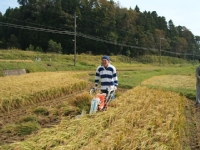 クリックすると大きな画像が出てきます。