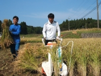 クリックすると大きな画像が出てきます。