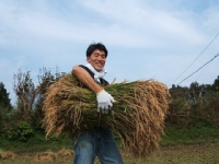 クリックすると大きな画像が出てきます。