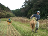クリックすると大きな画像が出てきます。