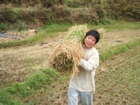 クリックすると大きな画像が出てきます。