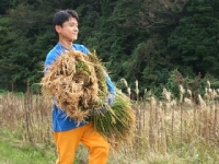 クリックすると大きな画像が出てきます。