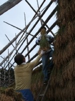 クリックすると大きな画像が出てきます。