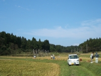 クリックすると大きな画像が出てきます。