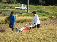 クリックすると大きな画像が出てきます。