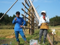 クリックすると大きな画像が出てきます。