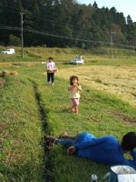 クリックすると大きな画像が出てきます。