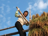 クリックすると大きな画像が出てきます。