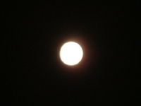 クリックすると大きな画像が出てきます。