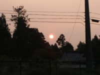 クリックすると大きな画像が出てきます。