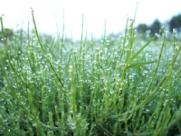 クリックすると大きな画像が出てきます。