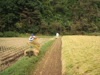 クリックすると大きな画像が出てきます。