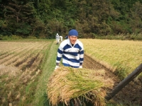 クリックすると大きな画像が出てきます。