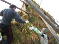 クリックすると大きな画像が出てきます。