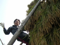 クリックすると大きな画像が出てきます。