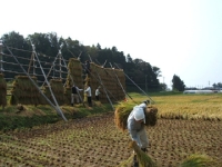 クリックすると大きな画像が出てきます。