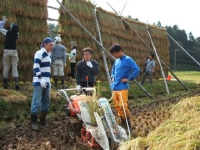 クリックすると大きな画像が出てきます。