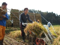 クリックすると大きな画像が出てきます。