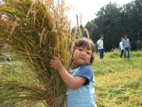 クリックすると大きな画像が出てきます。