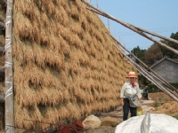 クリックすると大きな画像が出てきます。