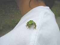 クリックすると大きな画像が出てきます。