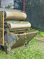 dクリックすると大きな画像が出てきます。