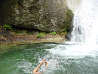 クリックすると大きな画像が出てきます。