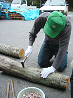 Tクリックすると大きな画像が出てきます。