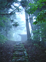 クリックすると大きな画像が出てきます。