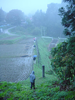 クリックすると大きな画像が出てきます。