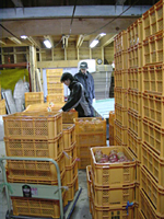 クリックすると大きな画像が出てきます。