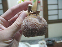 クリックすると大きな画像が出てきます。