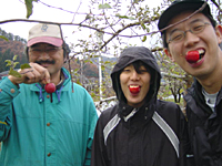 クリックすると大きな画像が出てきます。