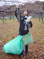 クリックすると大きな画像が出てきます。