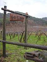 クリックすると大きな画像が出てきます。