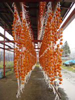 クリックすると大きな画像が出てきます。