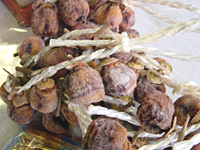 クリックすると大きな画像が出てきます。