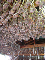 クリックすると大きな画像が出てきます。