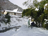 クリックすると大きな画像が出てきます。