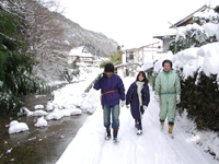 クリックすると大きな画像が出てきます。