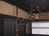 クリックすると大きな画像が出てきます。