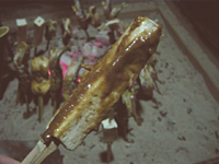 クリックすると大きな画像が出てきます。