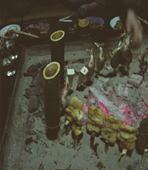 クリックすると大きな画像が出てきます。