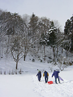 クリックすると大きな画像が出てきます。