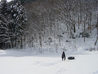 クリックすると大きな画像が出てきます。