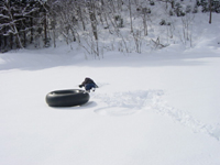 クリックすると大きな画像が出てきます。