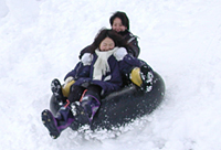 クリックすると大きな画像が出てきます。