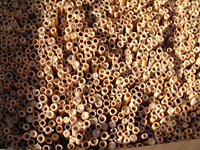 クリックすると大きな画像が出てきます。