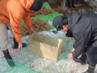 クリックすると大きな画像が出てきます。