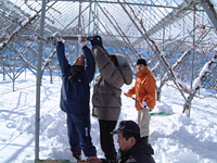 クリックすると大きな画像が出てきます。